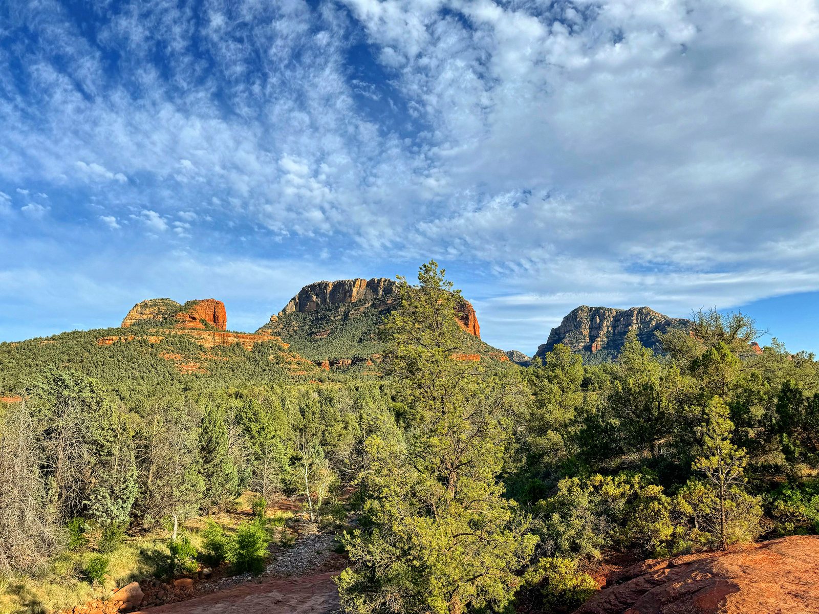 Sedona with Teddy