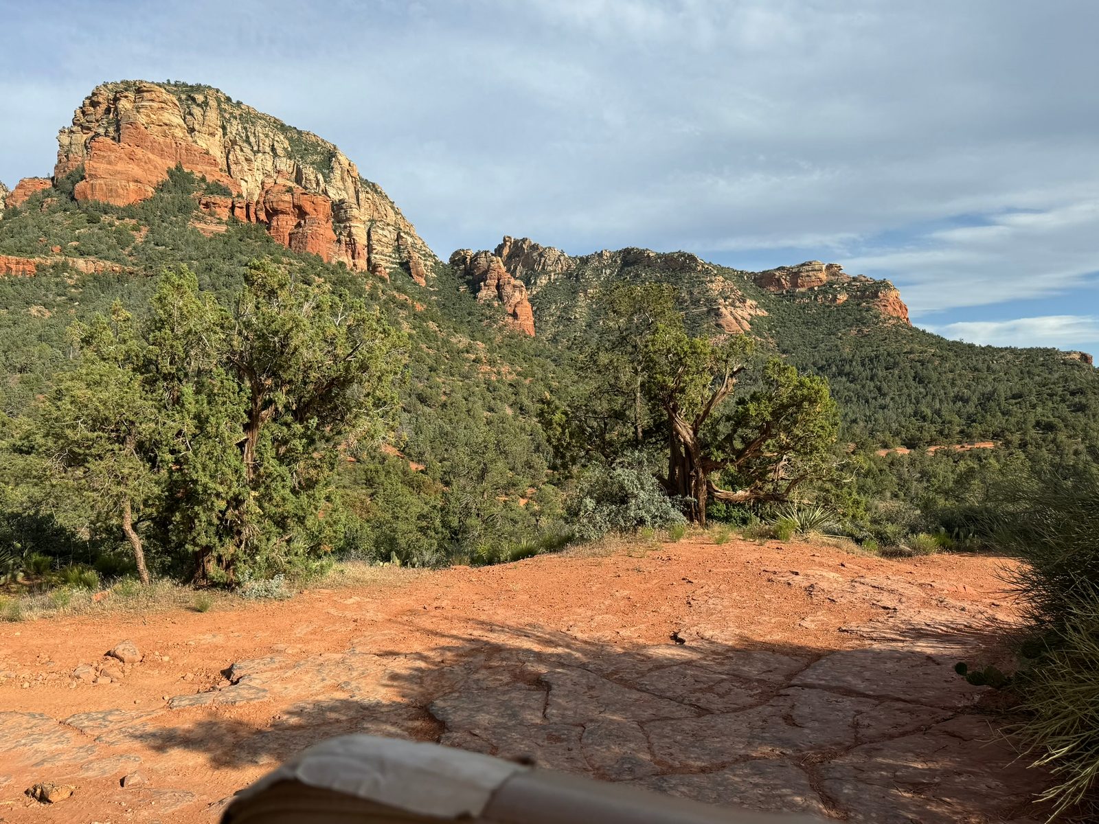 Sedona with Teddy