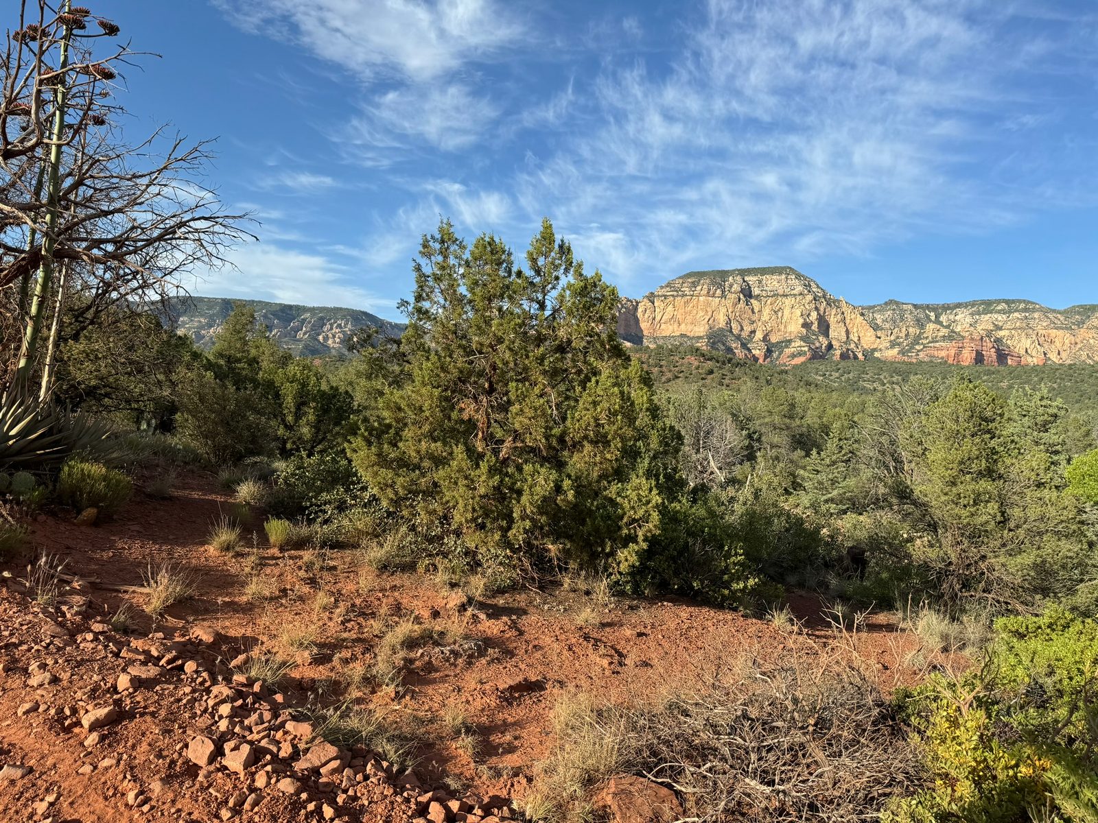 Sedona with Teddy