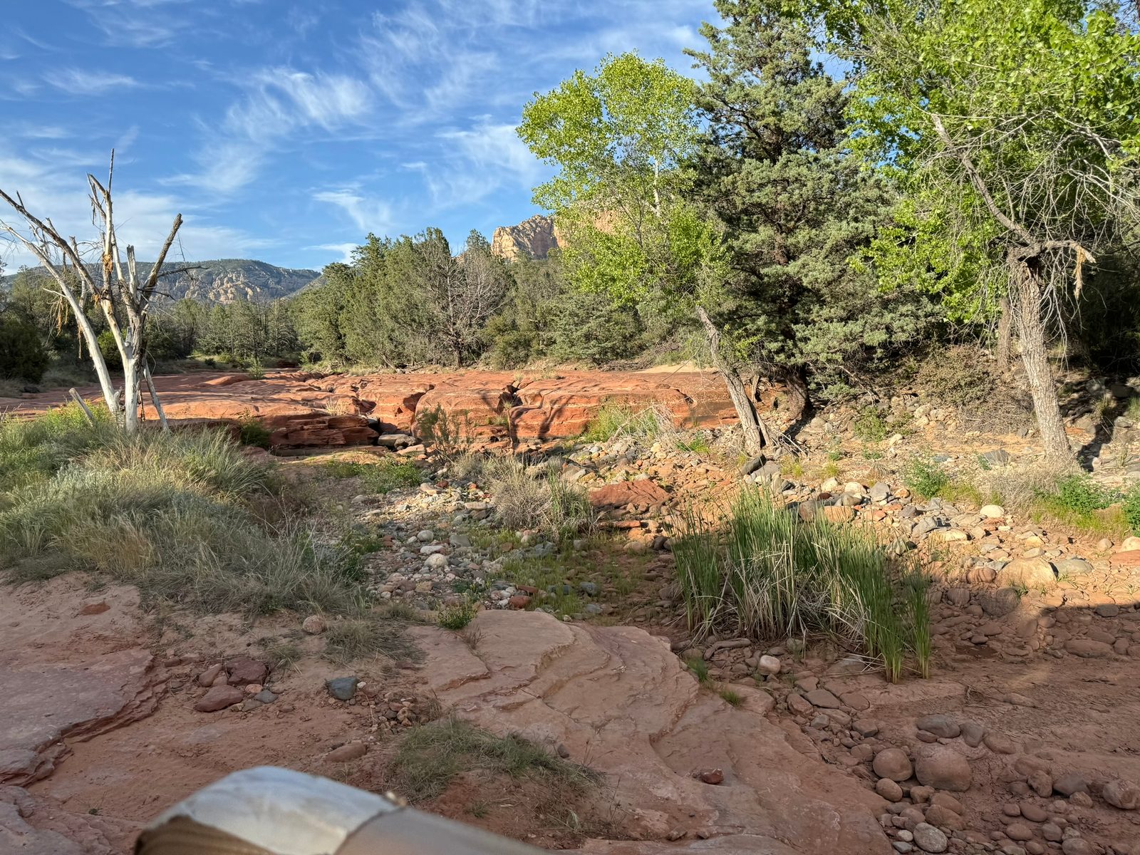 Sedona with Teddy