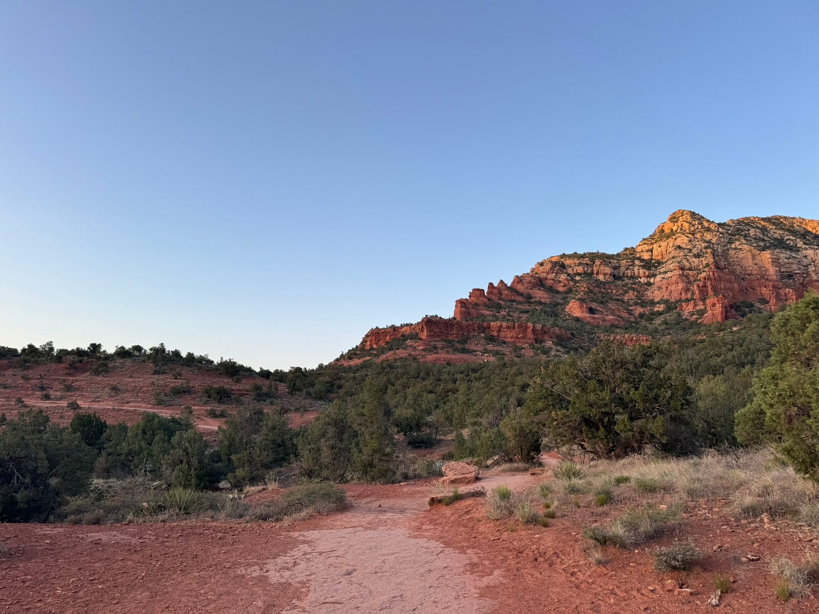 Sedona with Teddy