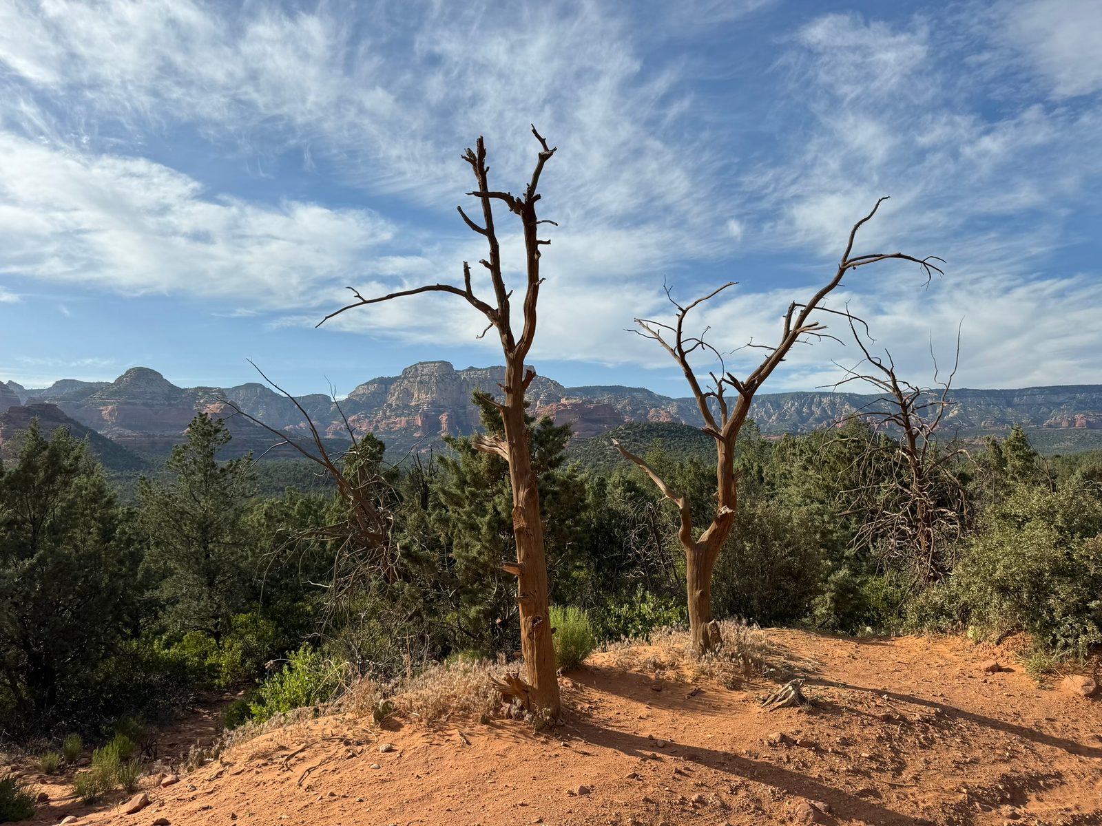 Sedona with Teddy