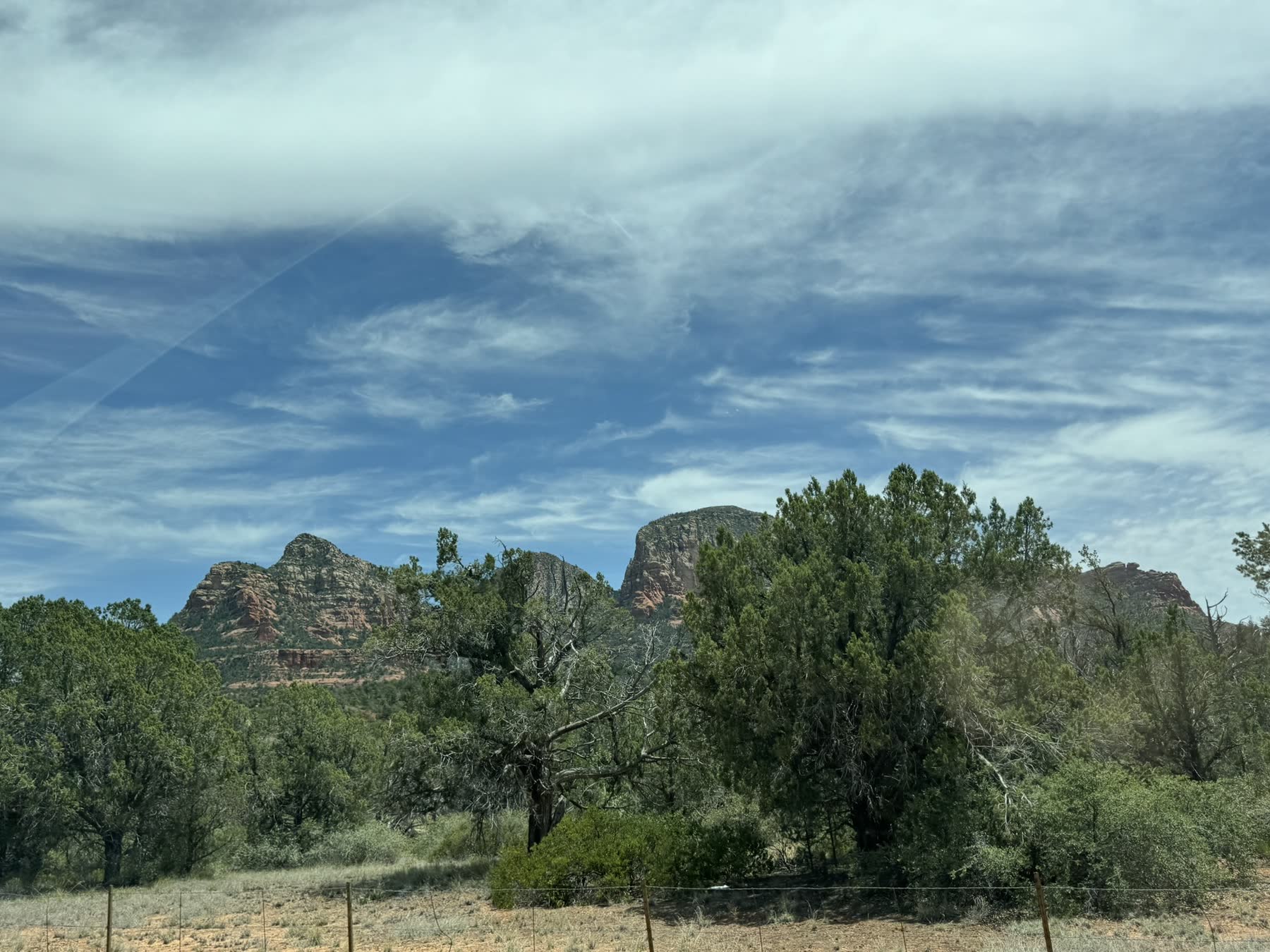 Sedona with Teddy