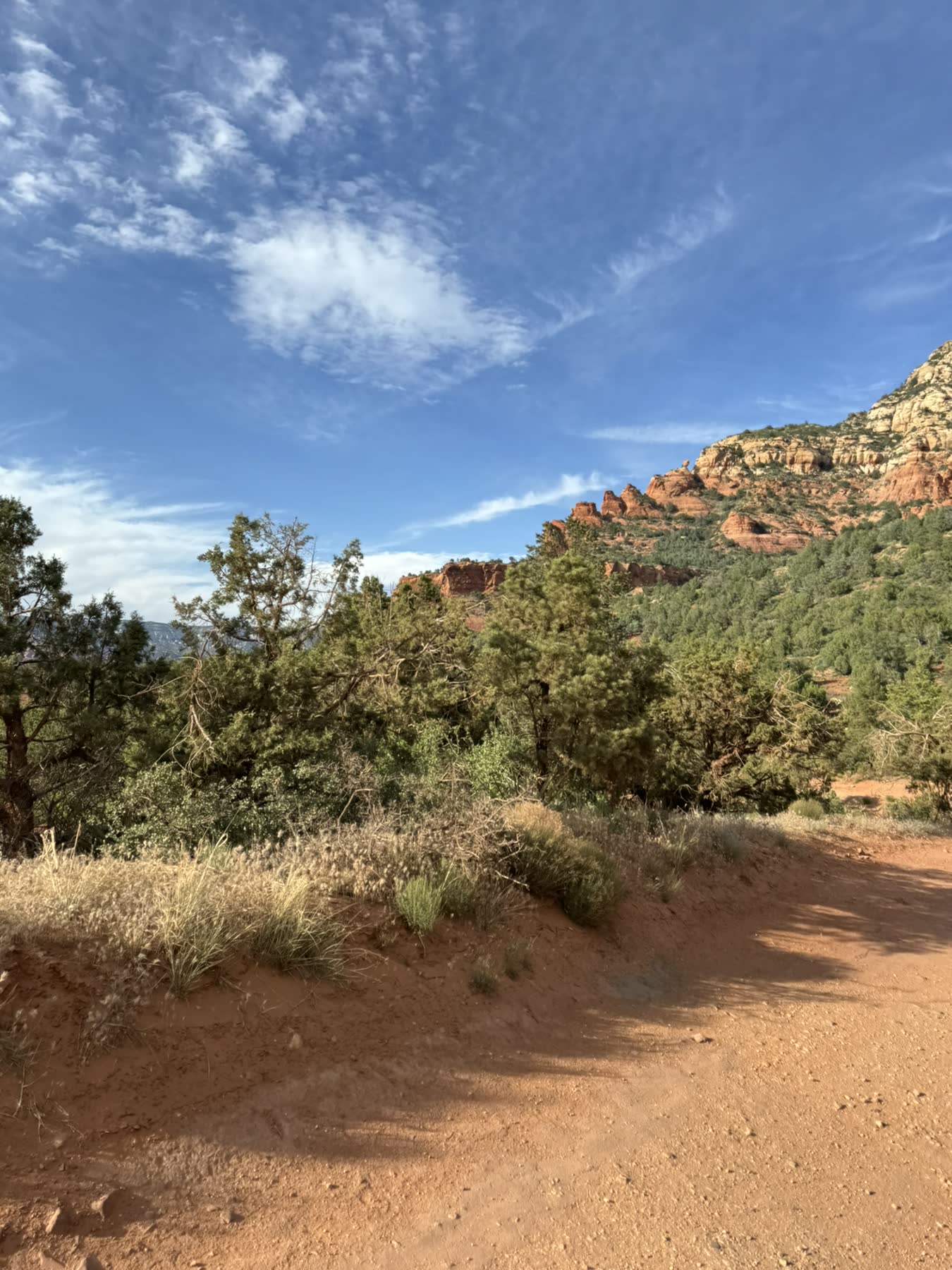 Sedona with Teddy