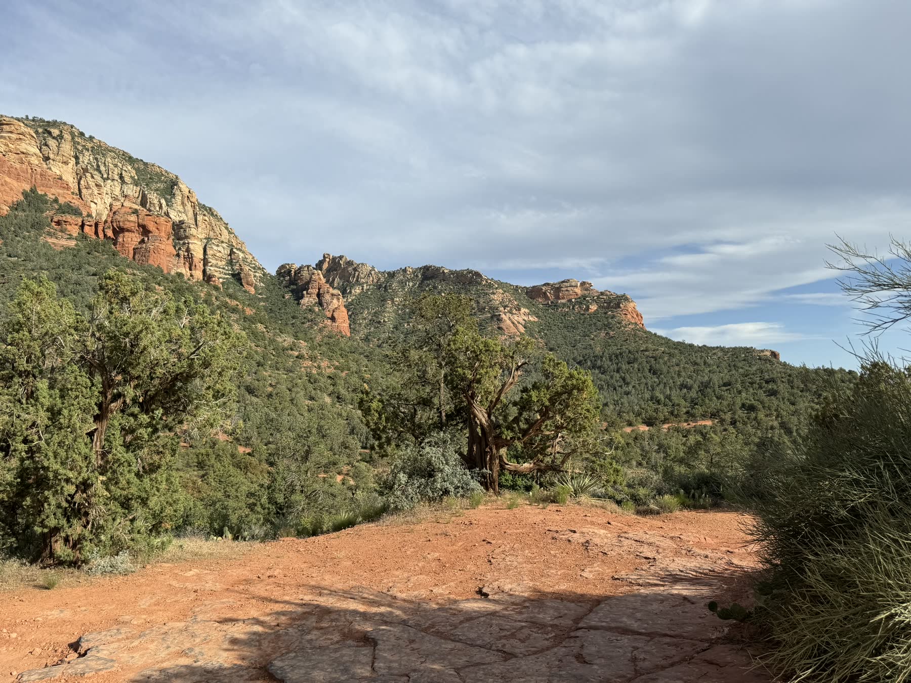 Sedona with Teddy