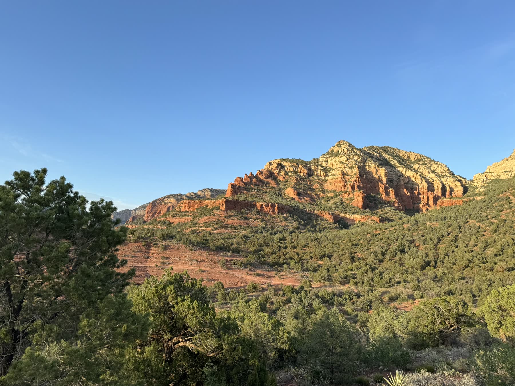 Sedona with Teddy