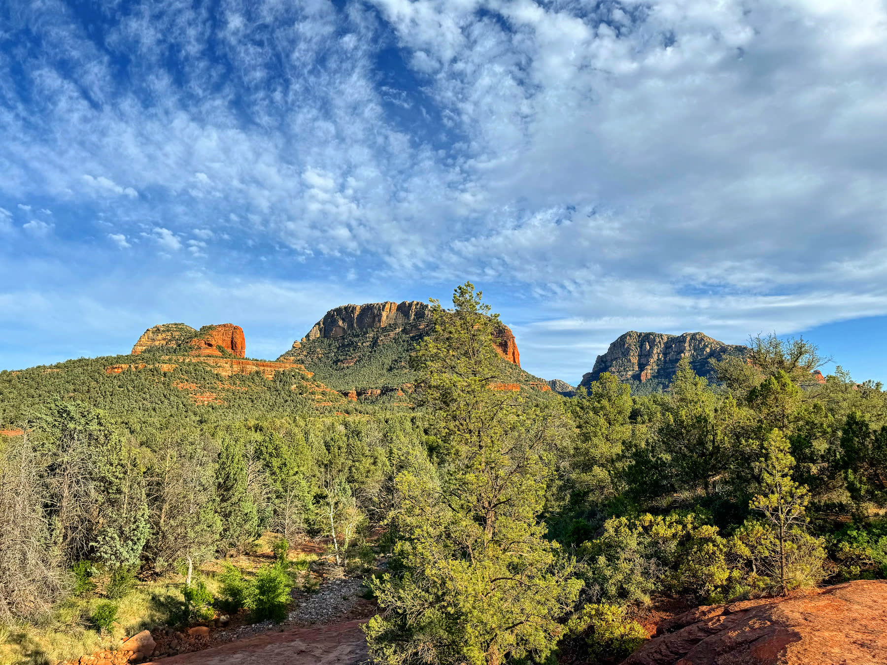 Sedona with Teddy