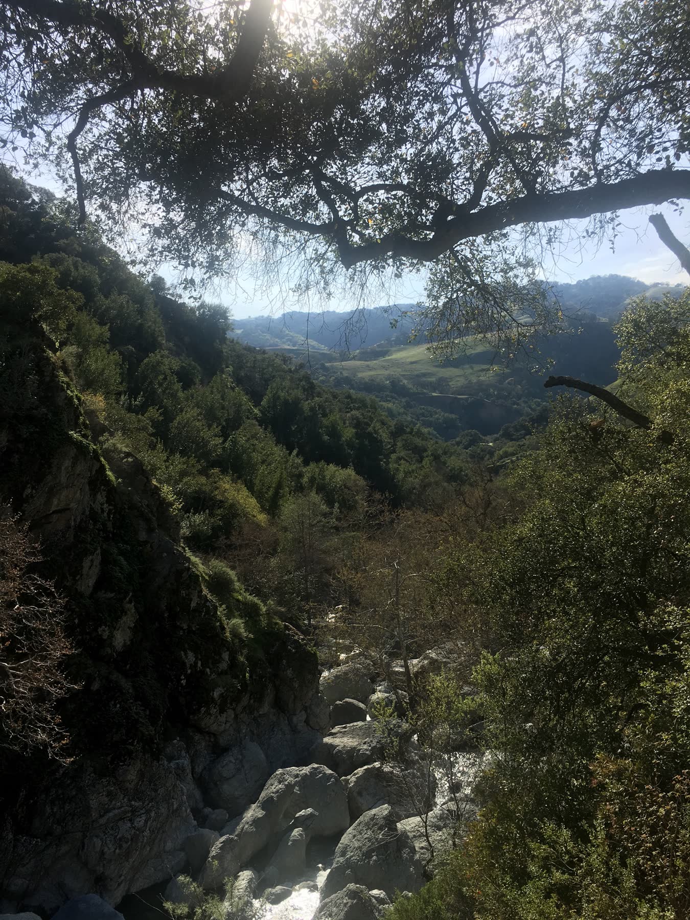 Sunol Regional Wilderness