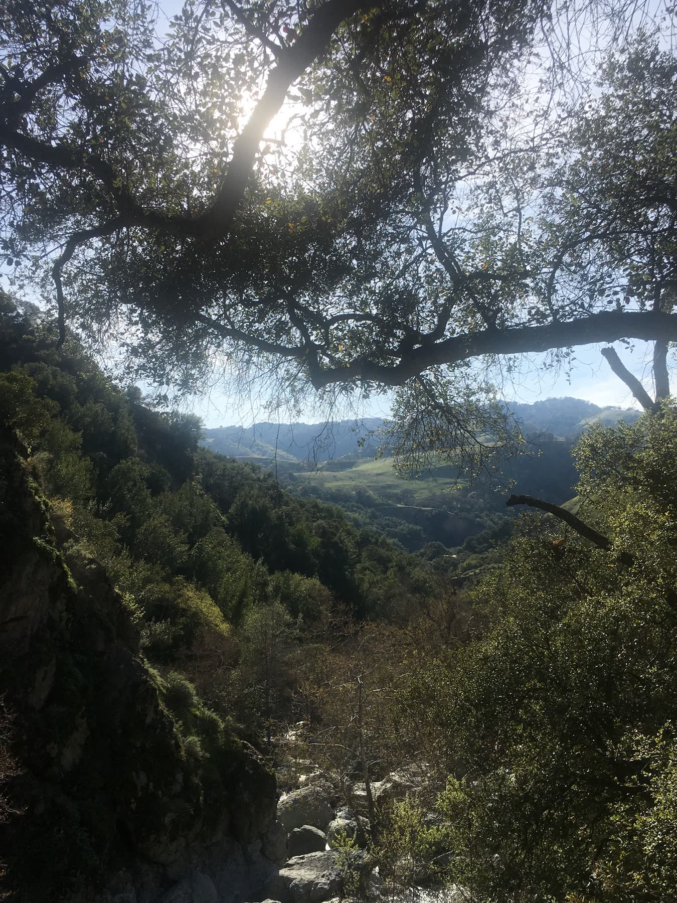 Sunol Regional Wilderness