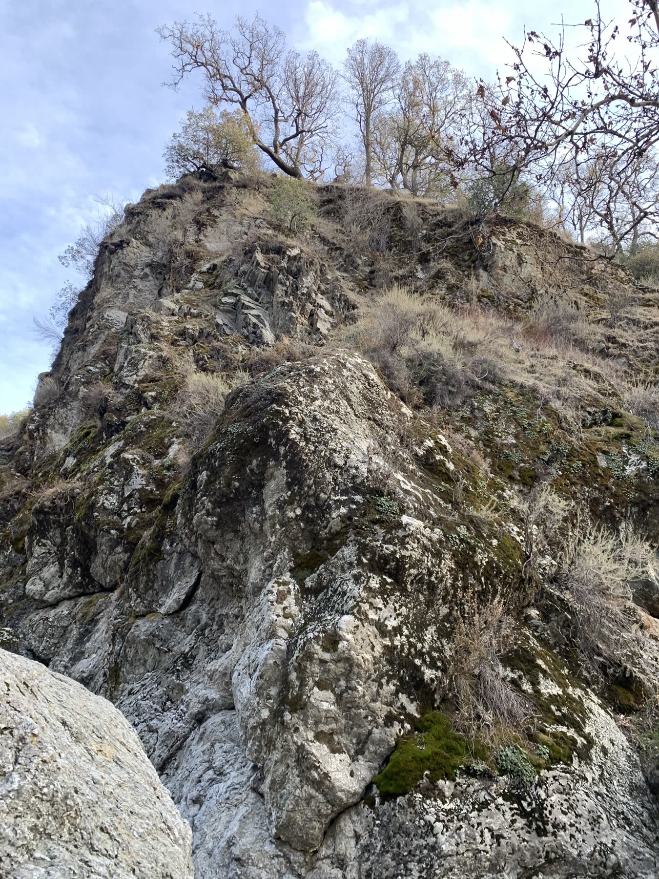 Sunol Regional Wilderness