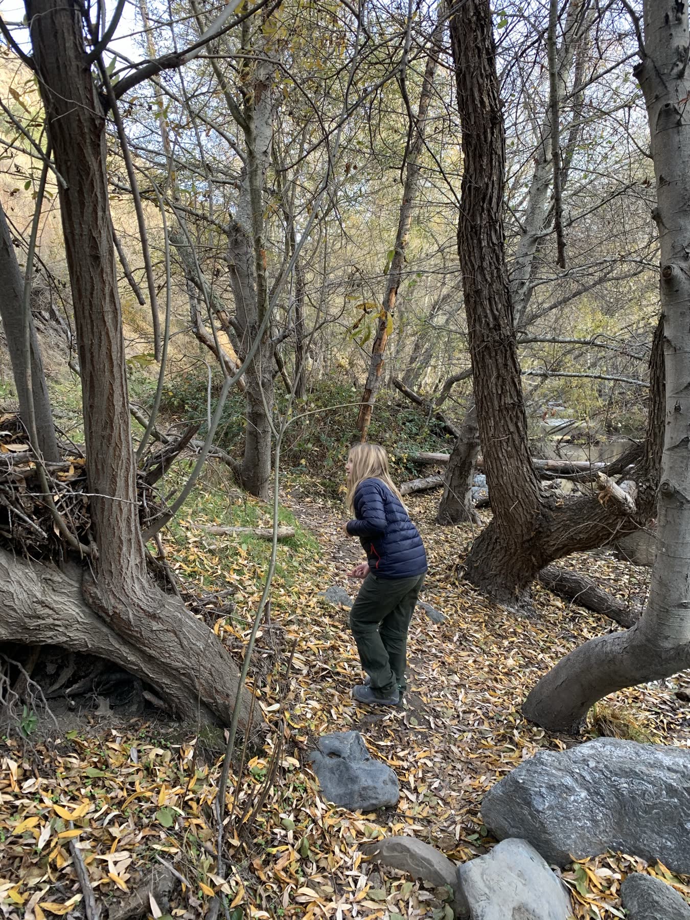 Sunol Regional Wilderness