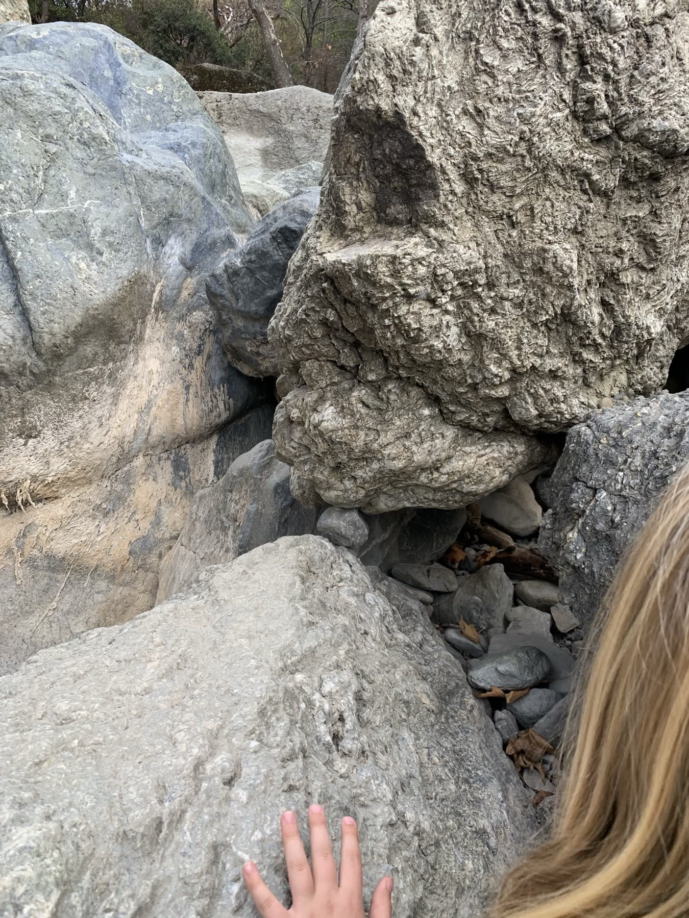 Sunol Regional Wilderness