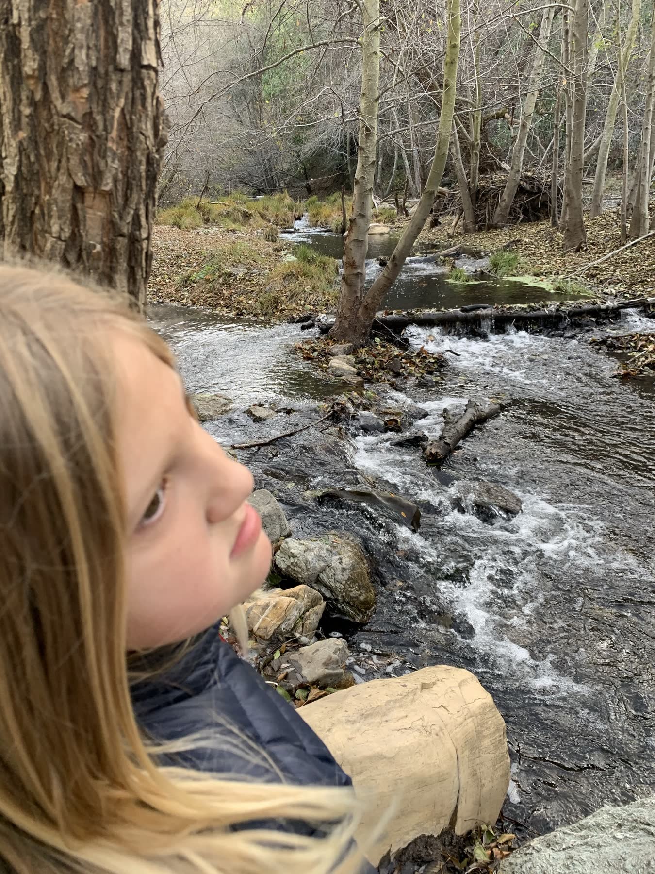 Sunol Regional Wilderness