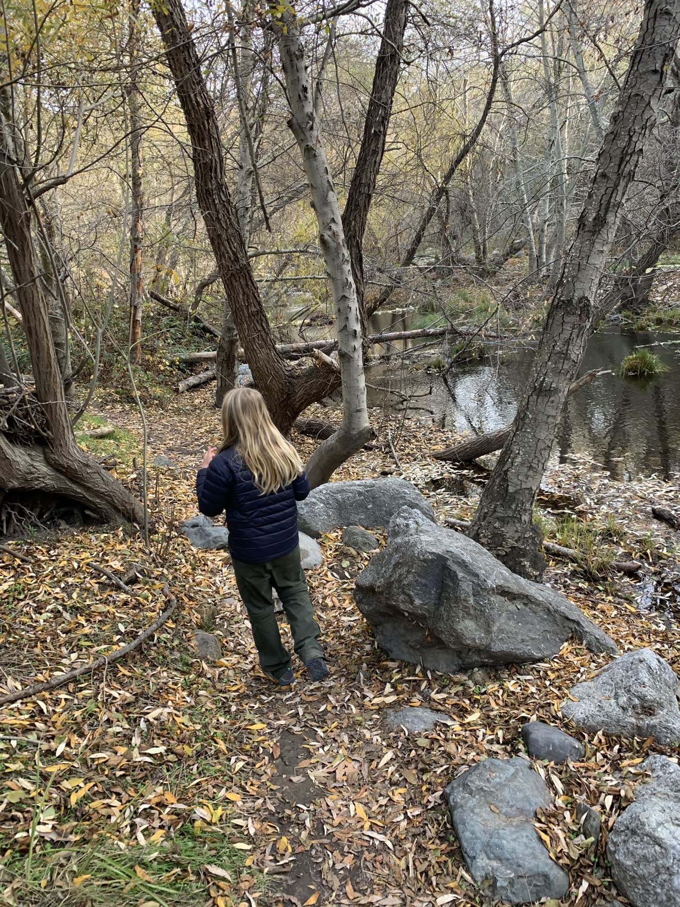 Sunol Regional Wilderness