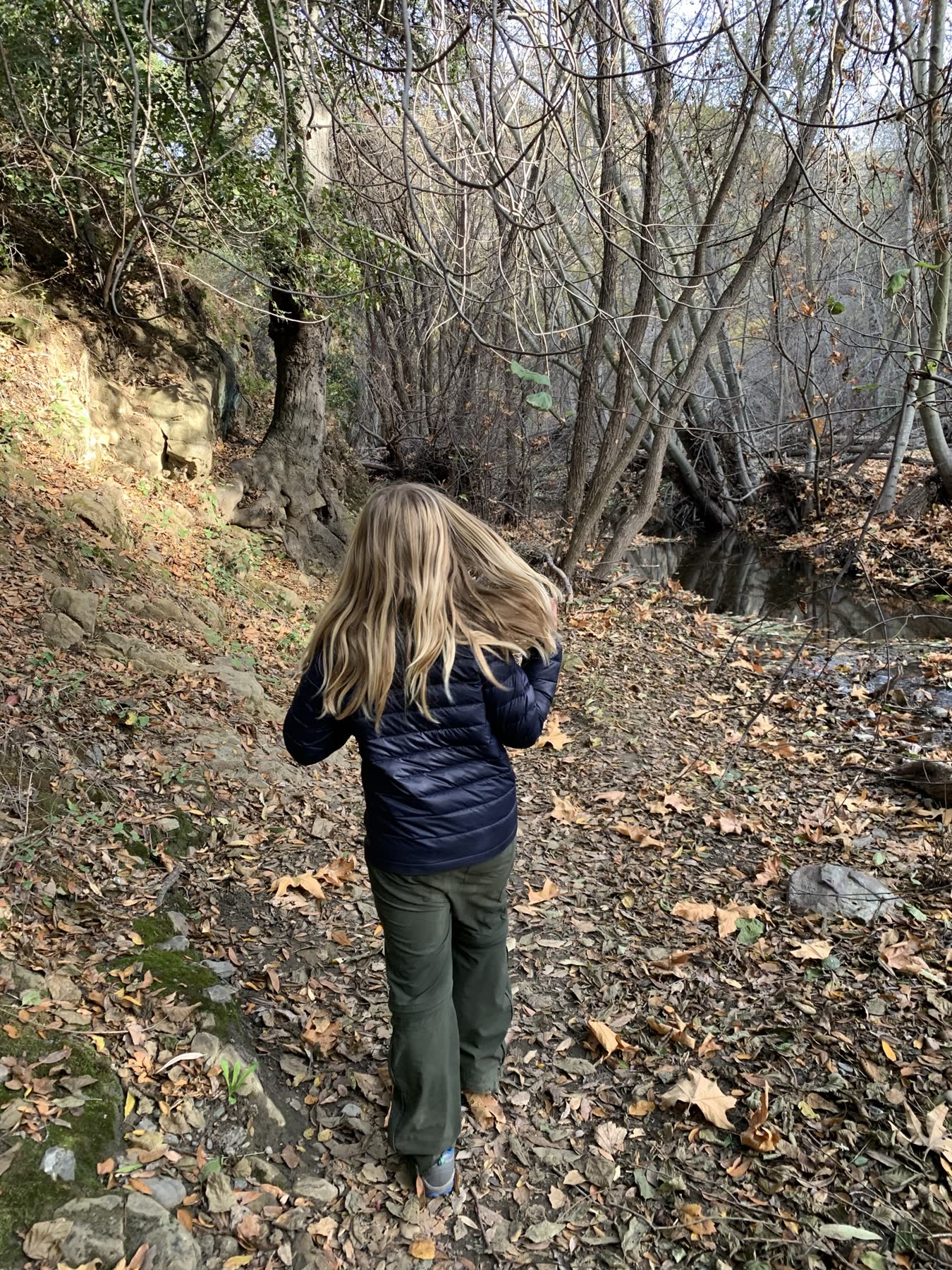 Sunol Regional Wilderness