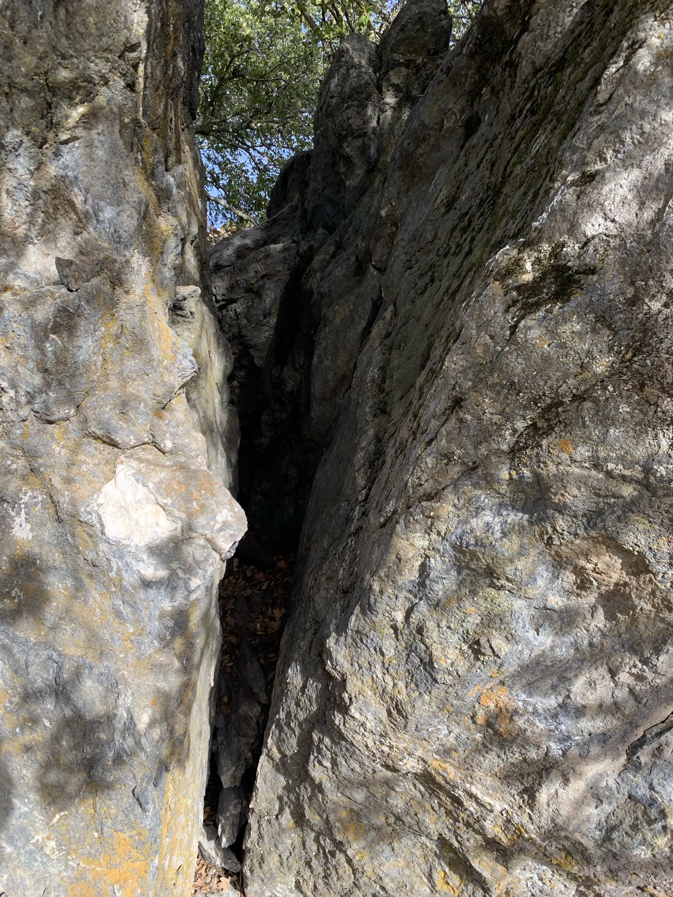 Sunol Regional Wilderness