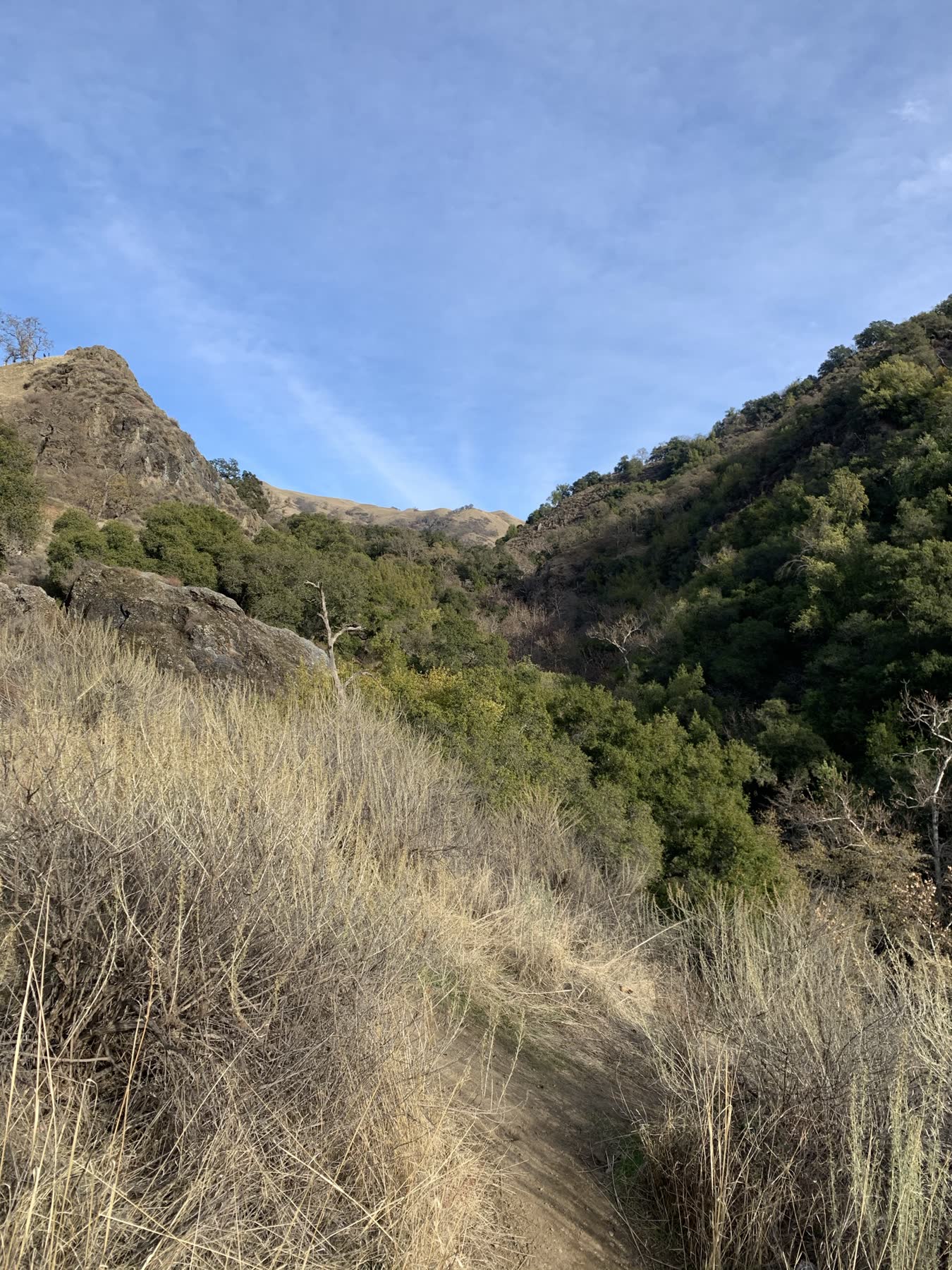 Sunol Regional Wilderness