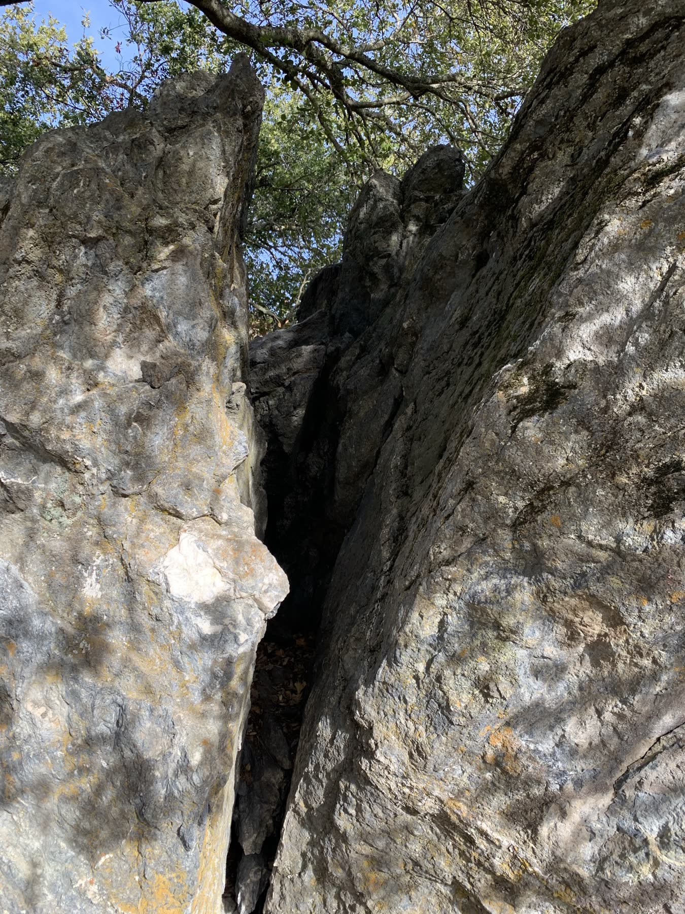 Sunol Regional Wilderness