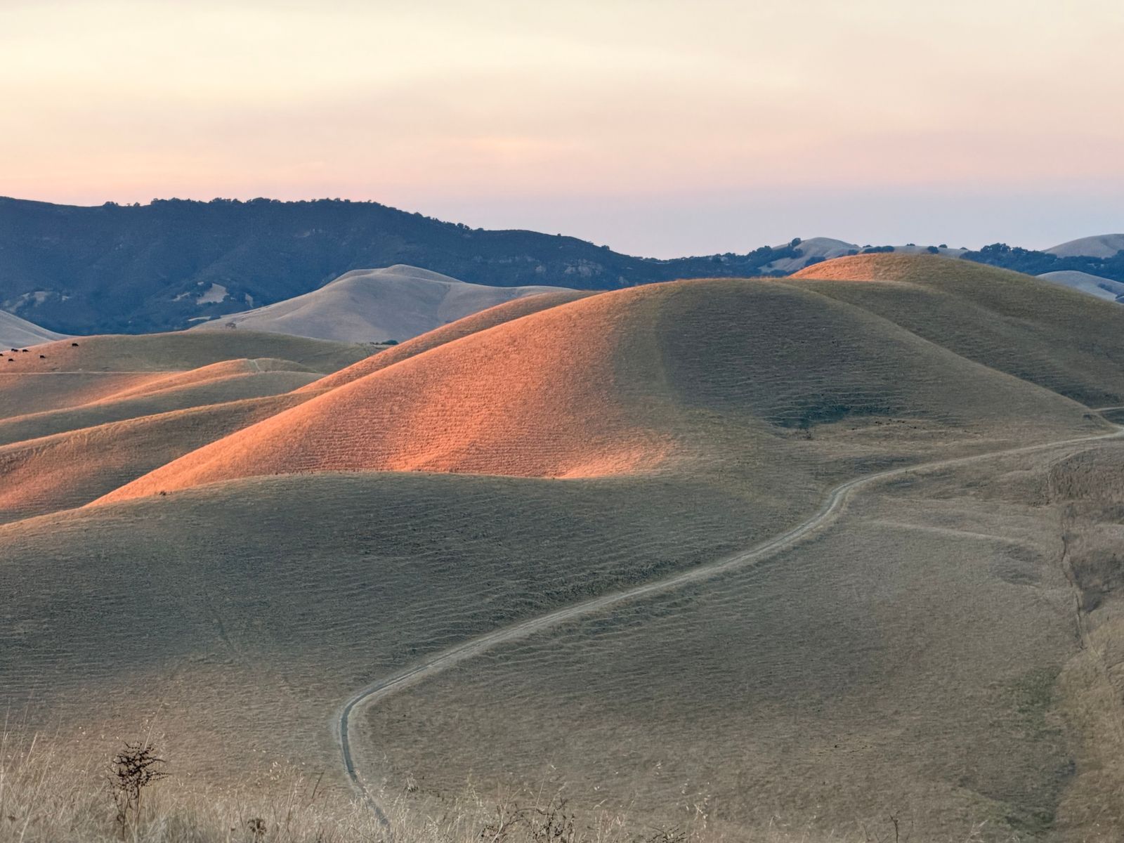 Golden light on the hills — from Teddy