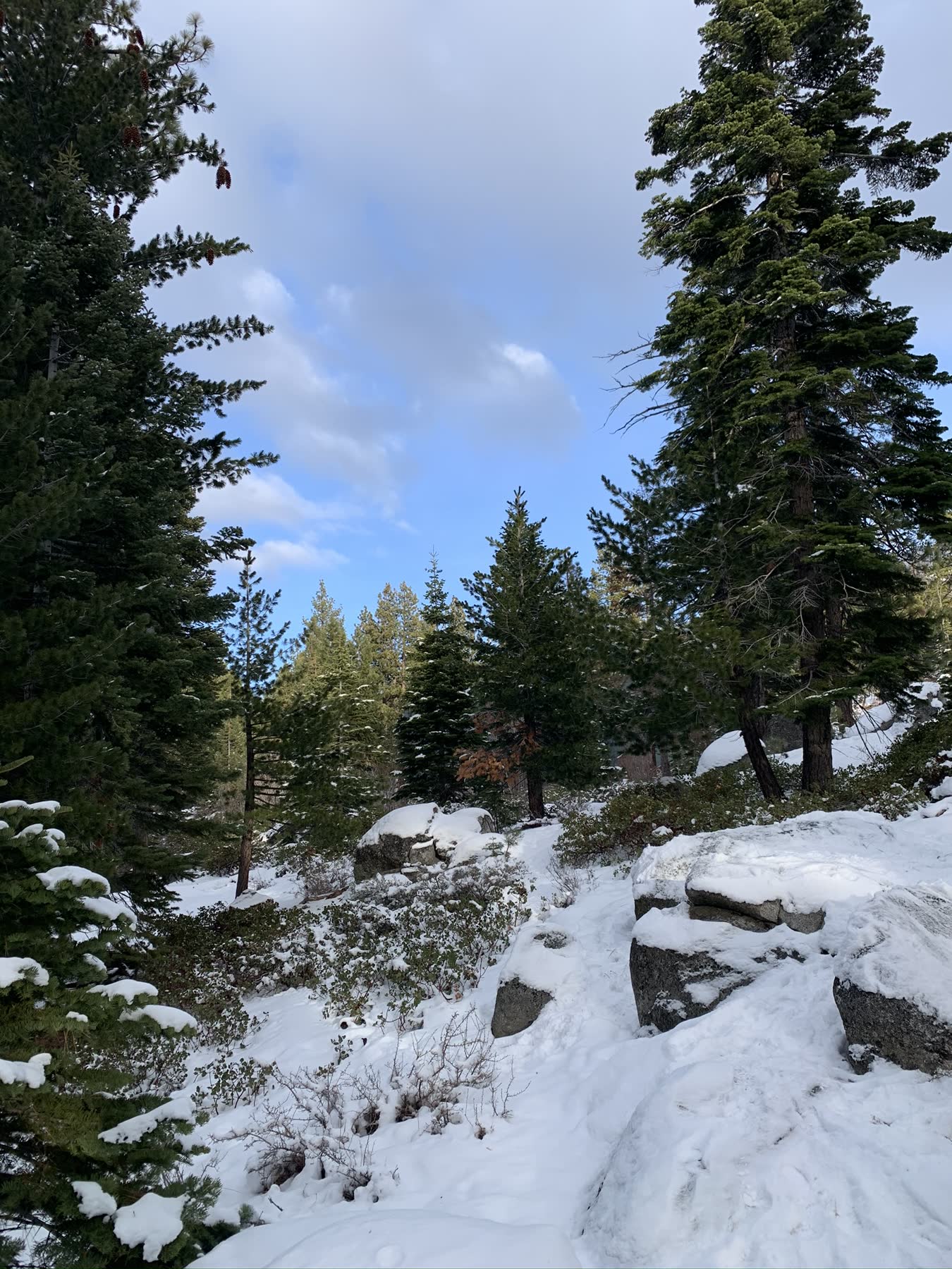 Van Sickle — Barn Trail Loop
