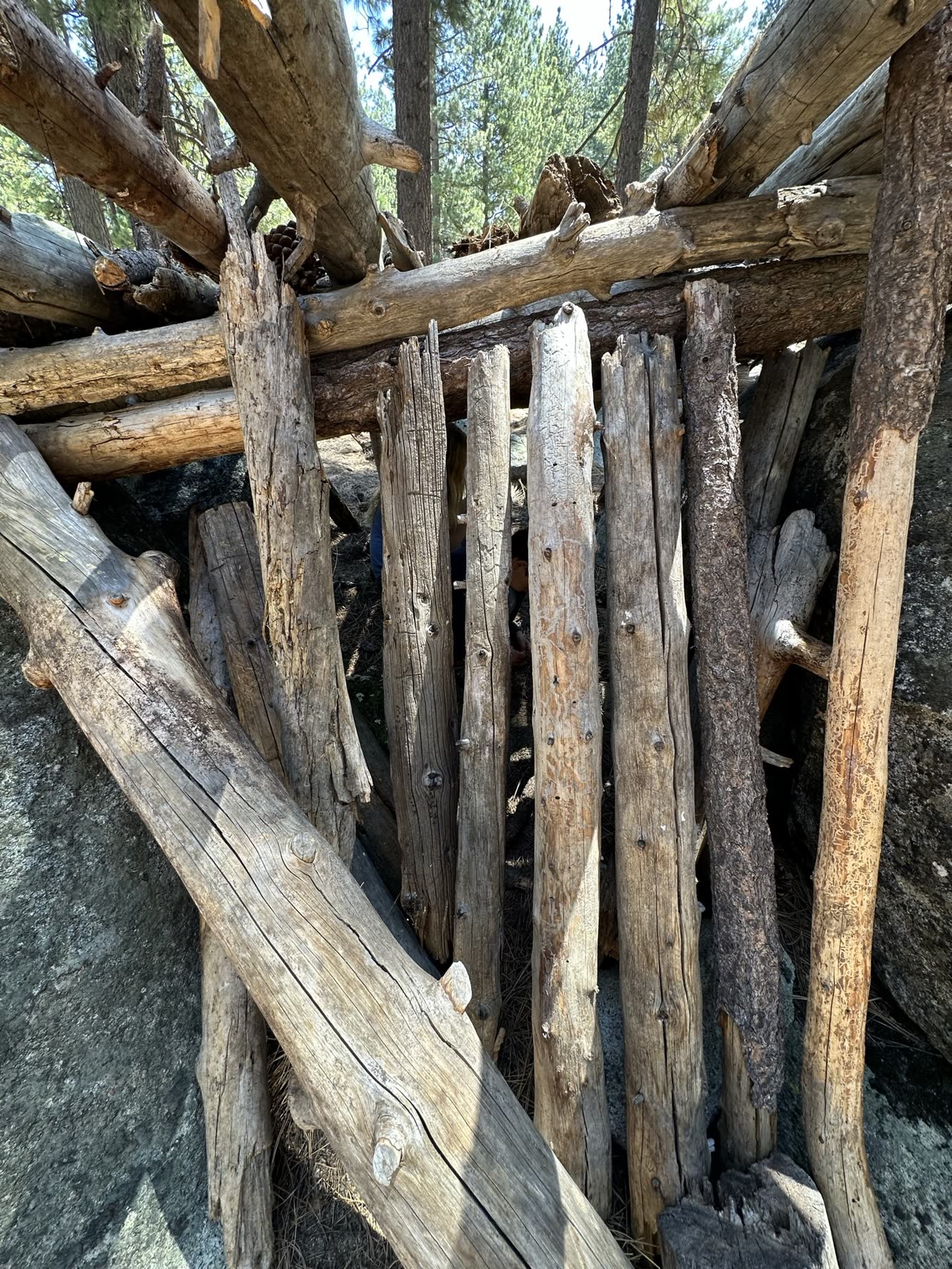 Van Sickle — Barn Trail Loop