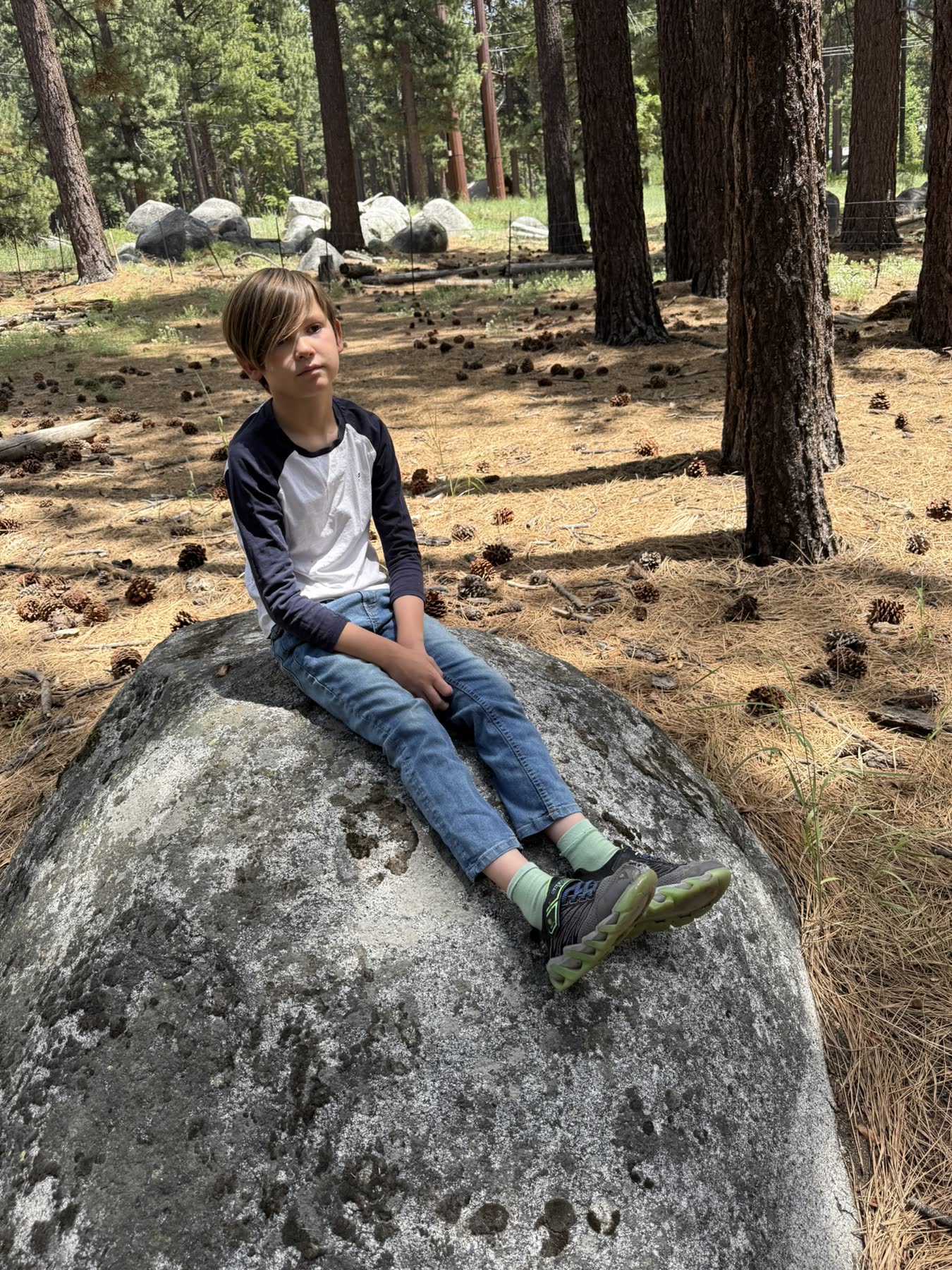 Van Sickle — Barn Trail Loop